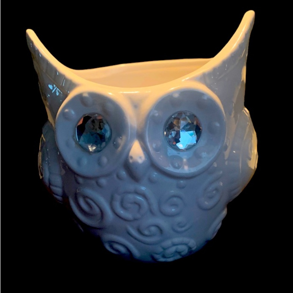 Owl Vase Planter Holder White W Big Rhinestone Eyes Pointed Ears 5.5” Tall 6” W - Picture 2 of 6